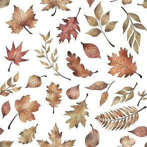 Fall Leaves // White