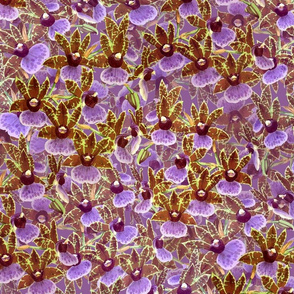 Zygopetalum Orchid Sprays on Purple 300L