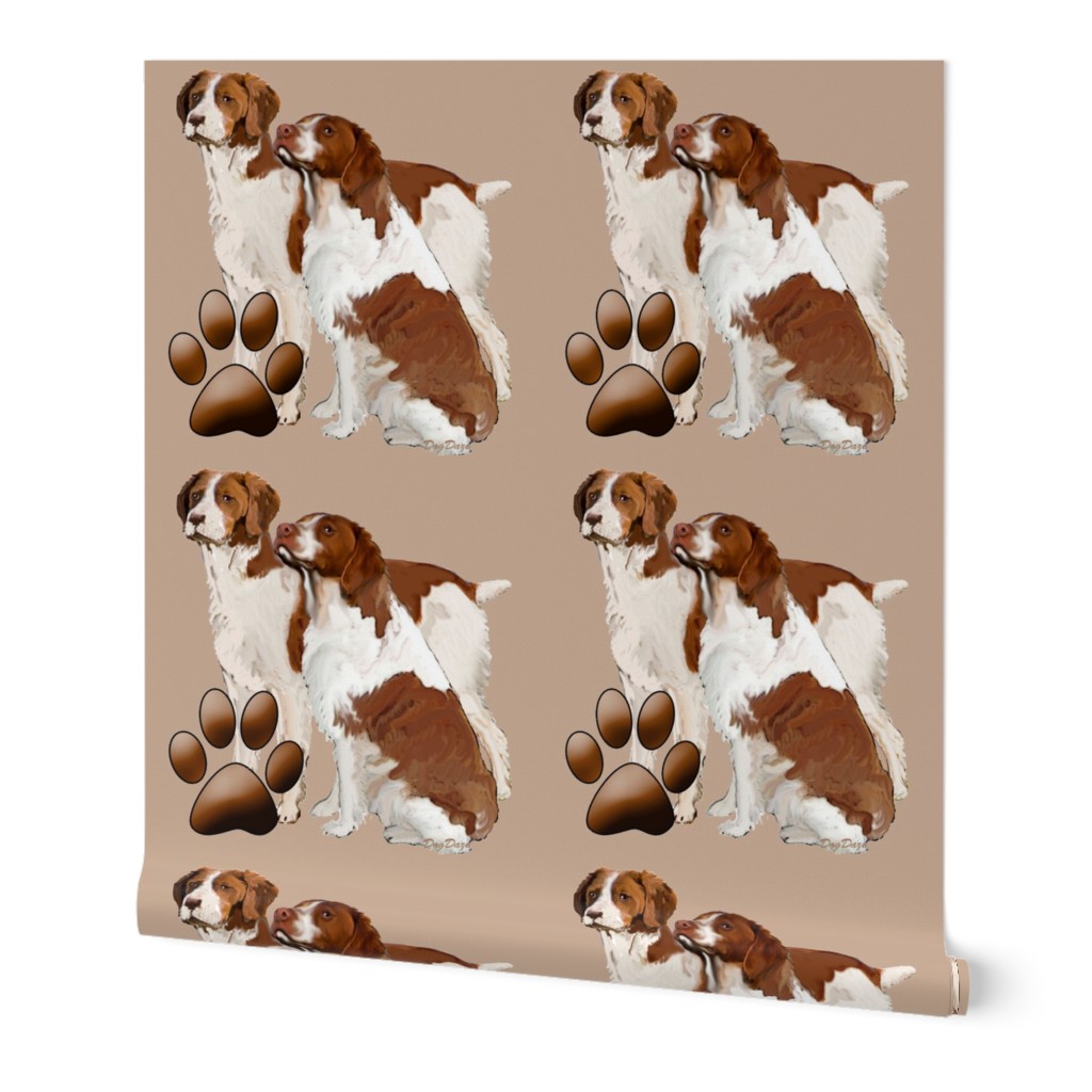 Brittany Spaniels 2