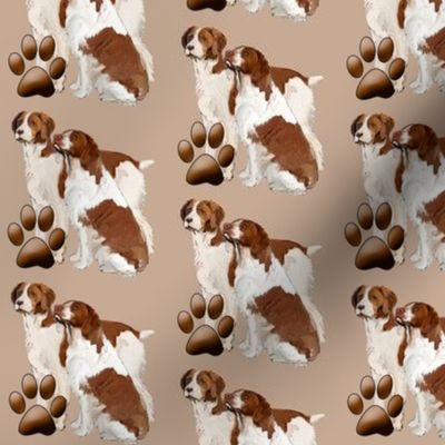 Brittany Spaniels 2