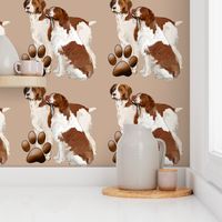 Brittany Spaniels 2