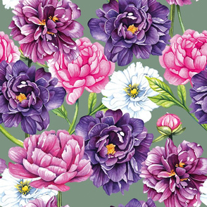 peony flowers all over