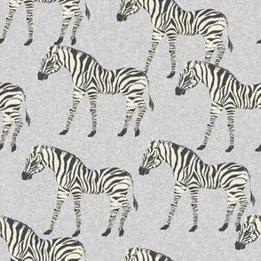 zebra fabric - zebra wallpaper, zebra print, animal print, african fabric, african print, home dec fabric - grey