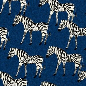 zebra fabric - zebra wallpaper, zebra print, animal print, african fabric, african print, home dec fabric - navy