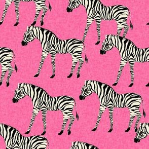 Pink Zebra Fabric, Wallpaper and Home Decor | Spoonflower