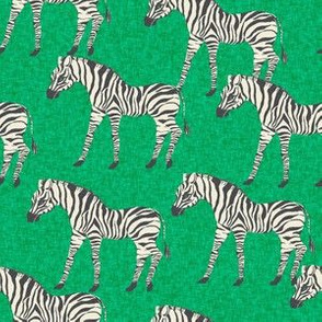 zebra fabric - zebra wallpaper, zebra print, animal print, african fabric, african print, home dec fabric - green