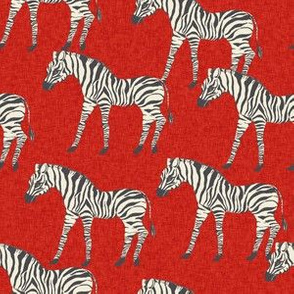 zebra fabric - zebra wallpaper, zebra print, animal print, african fabric, african print, home dec fabric - red