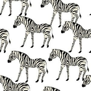 zebra fabric - zebra wallpaper, zebra print, animal print, african fabric, african print, home dec fabric - white