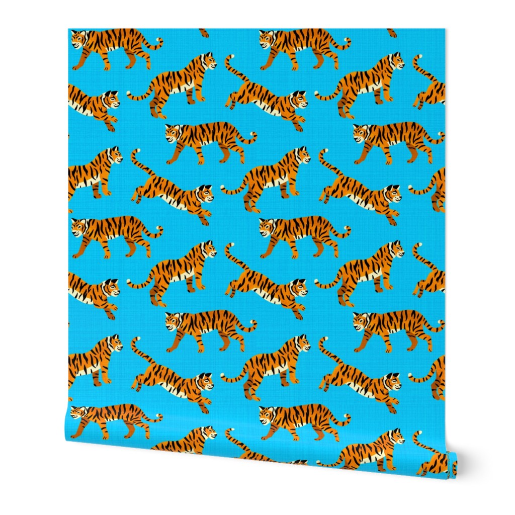 Bengal Tigers - Electric Blue (Small Version)  