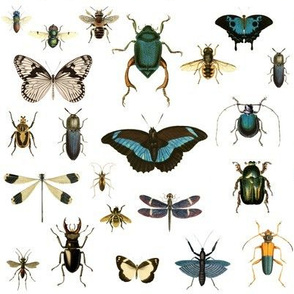 8" Bugs and Moths Vintage Collection