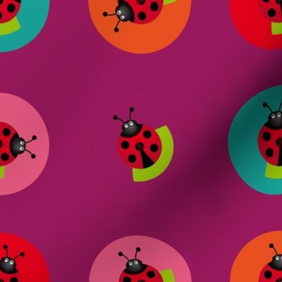 Ladybugs