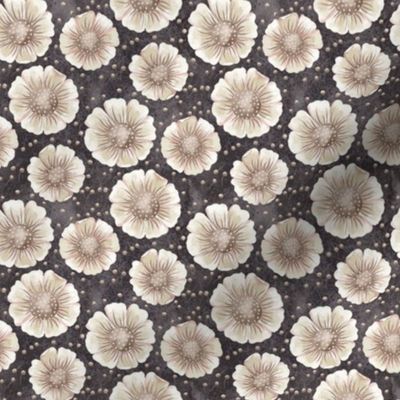 Field of daisies - Monochrome
