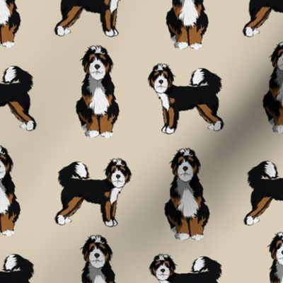 bernedoodle dog fabric - doodle dog, doodle dog fabric, dog fabric - tan