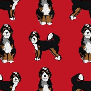 bernedoodle dog fabric - doodle dog, doodle dog fabric, dog fabric - red