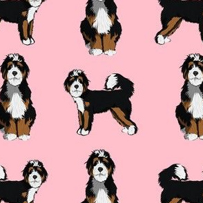 bernedoodle dog fabric - doodle dog, doodle dog fabric, dog fabric - pink