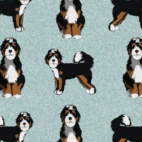 bernedoodle dog fabric - doodle dog, doodle dog fabric, dog fabric - blue 