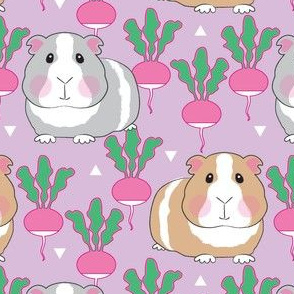 guinea pigs and radishes on purple