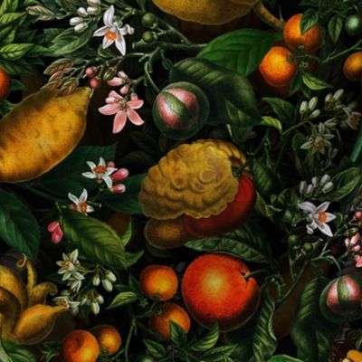 8" Vintage Citrus Fruit Pattern
