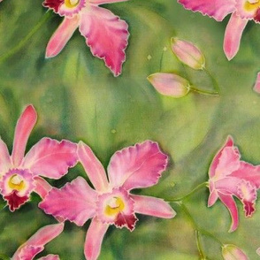 Watercolor Orchids