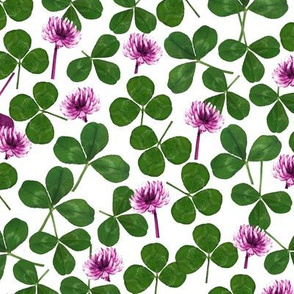 pressed clover fabric - pressed flowers fabric, leaves, shamrock fabric, clover fabric - white