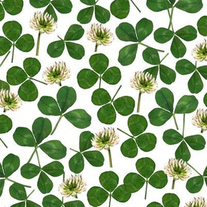 pressed clover fabric - pressed flowers fabric, leaves, shamrock fabric, clover fabric - white