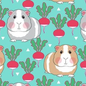 guinea pigs and red radishes on teal