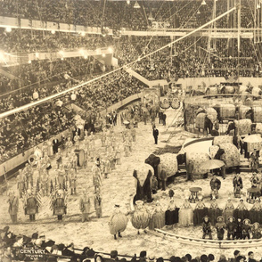 30-15  Ringling Brothers and Barnum & Bailey Combined Circus, Madison Square Garden, New York