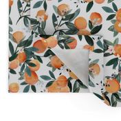 Dear Clementine white oranges M