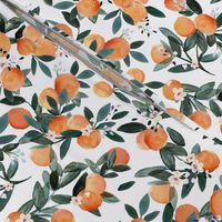 Dear Clementine white oranges M