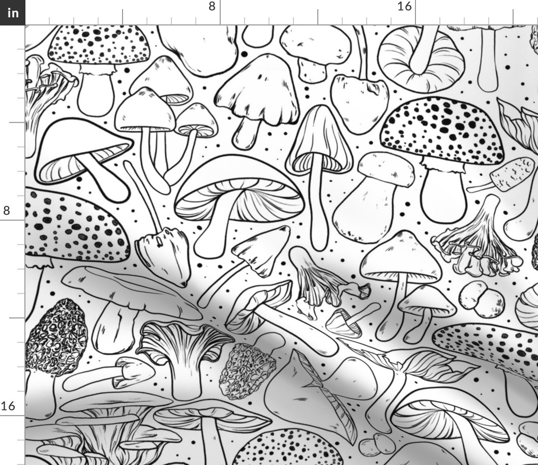 All The Mushrooms on White Jumbo Large Scale