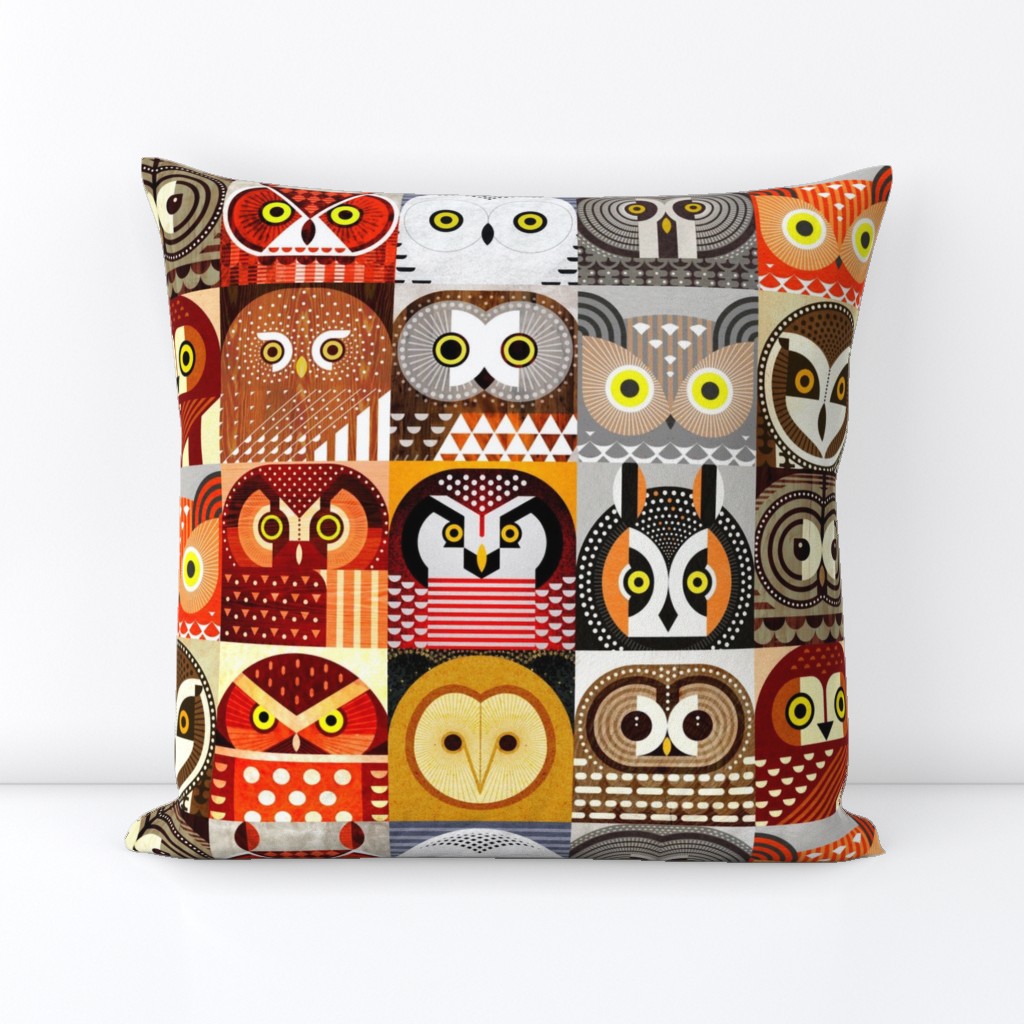 North American Owls - Small