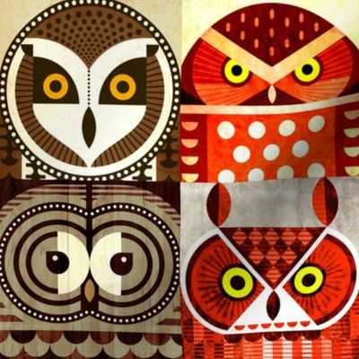 North American Owls - Small