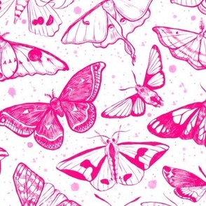  Moth Magic in Pink