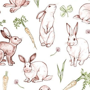  Rabbit Sketches in Color 2X