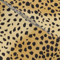 Cheetah Print-Black Spots