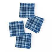 classic blue plaid