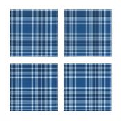 classic blue plaid