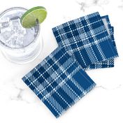 classic blue plaid