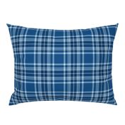 classic blue plaid