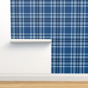 classic blue plaid