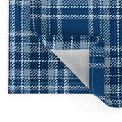 classic blue plaid