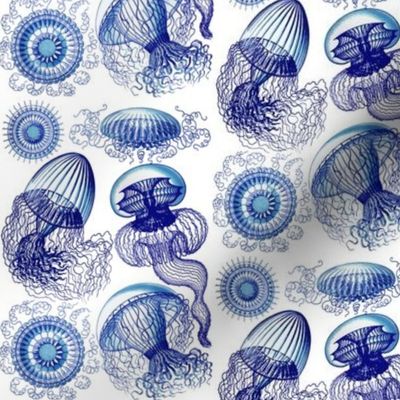 Ernst Haeckel Leptomedusae Jellyfish  Vivid Blues