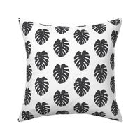 soft black monstera leaves on white