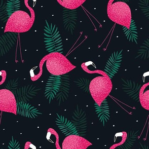 flamingo amin
