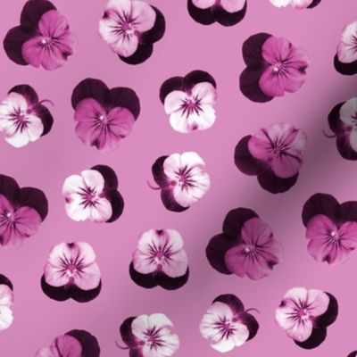 pressed flowers fabric - pansy fabric, viola fabric, purple floral fabric, pansies, violets, florals - mauve