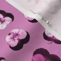 pressed flowers fabric - pansy fabric, viola fabric, purple floral fabric, pansies, violets, florals - mauve