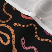 fancy snakes tropical black small