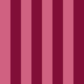 JP7 Basic Stripes in Rustic PInk and Rosy Red