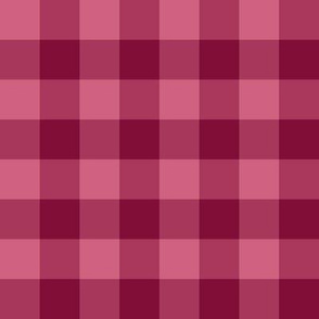 JP7 - Buffalo Plaid in Rustic PInk Pastel and Rosy Red