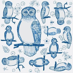 Blue Barn Owl